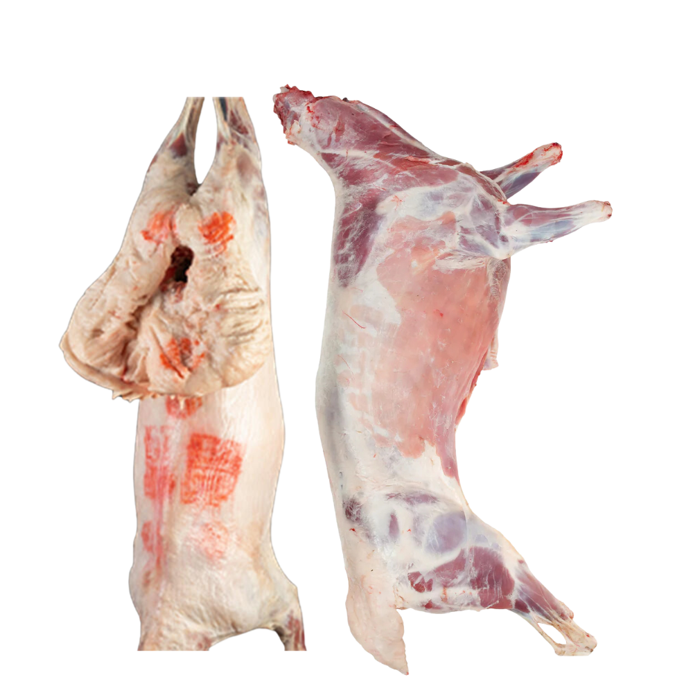 Halal lamb meat ethically sourced in Adelaide - whole lamb